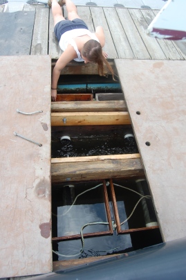 Annie opening up the upwellers under the dock