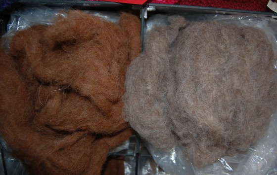 The llamas fiber that Karen uses to spin and weave.